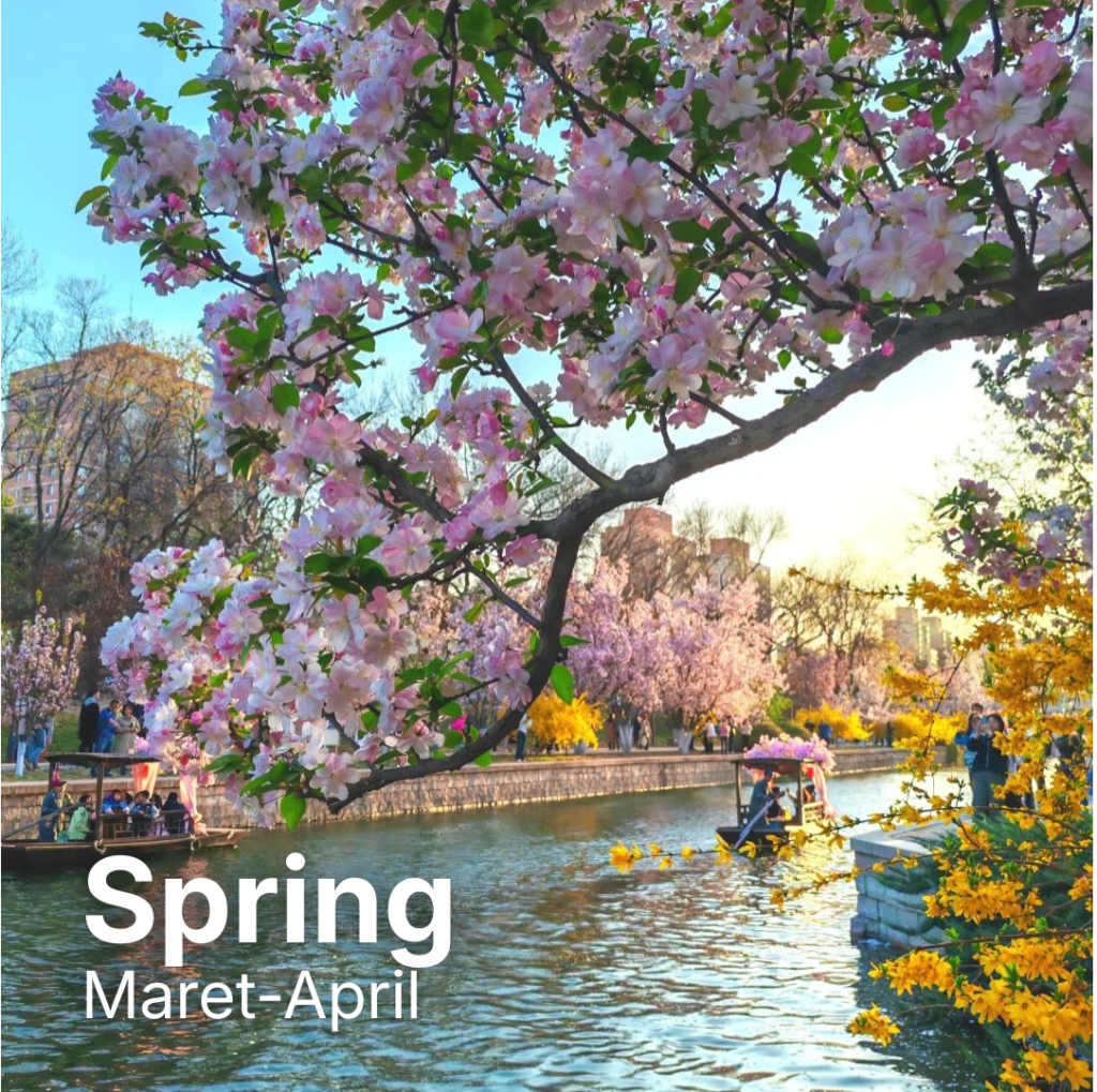 untitled design (15)