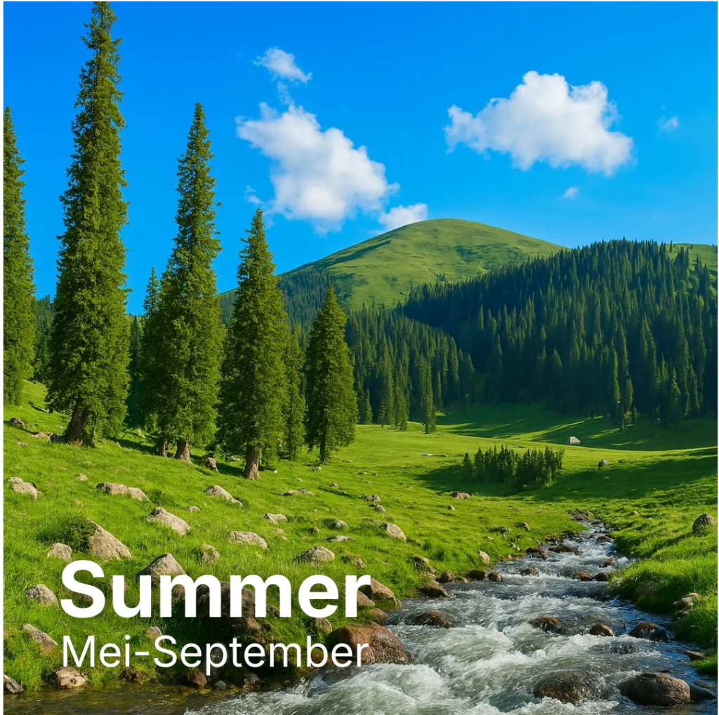 untitled design (16)