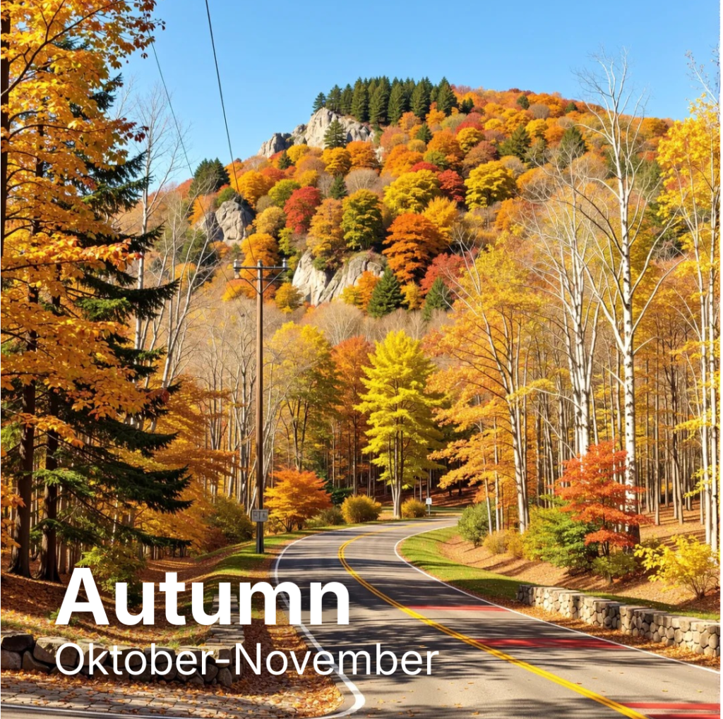 untitled design (17)